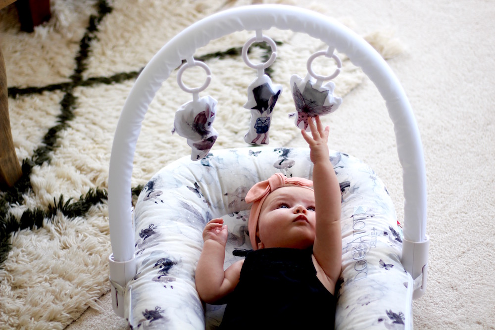 Wendy Correen Smith DockATot Deluxe+ and Toy Arch with Toy Set