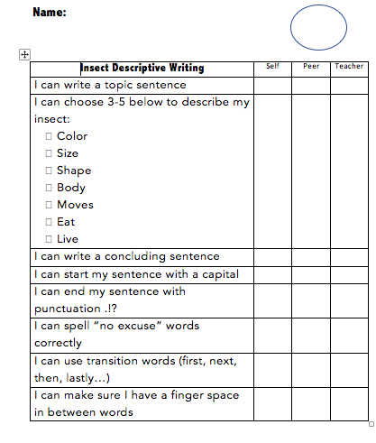 Essay grading rubric college picture