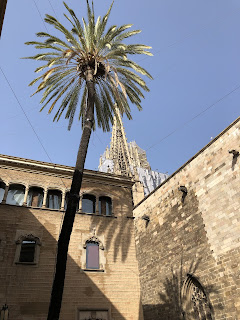 迷路の小路が美しいバルセロナ旧市街を散策〜Barri Gòtic /ゴシック地区〜