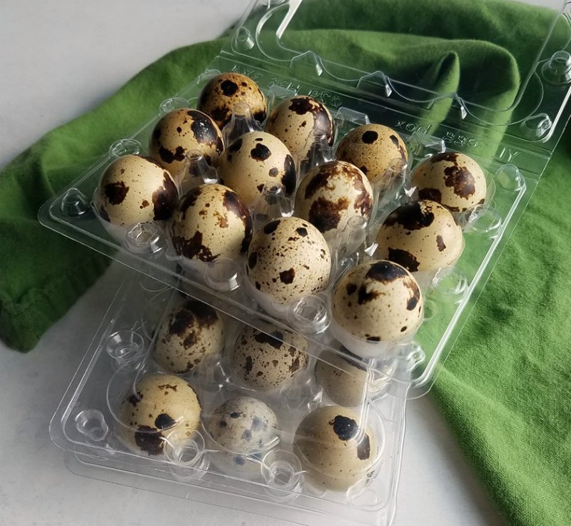 Cooking With Carlee: Tips, Tricks & Recipes for Quail Eggs