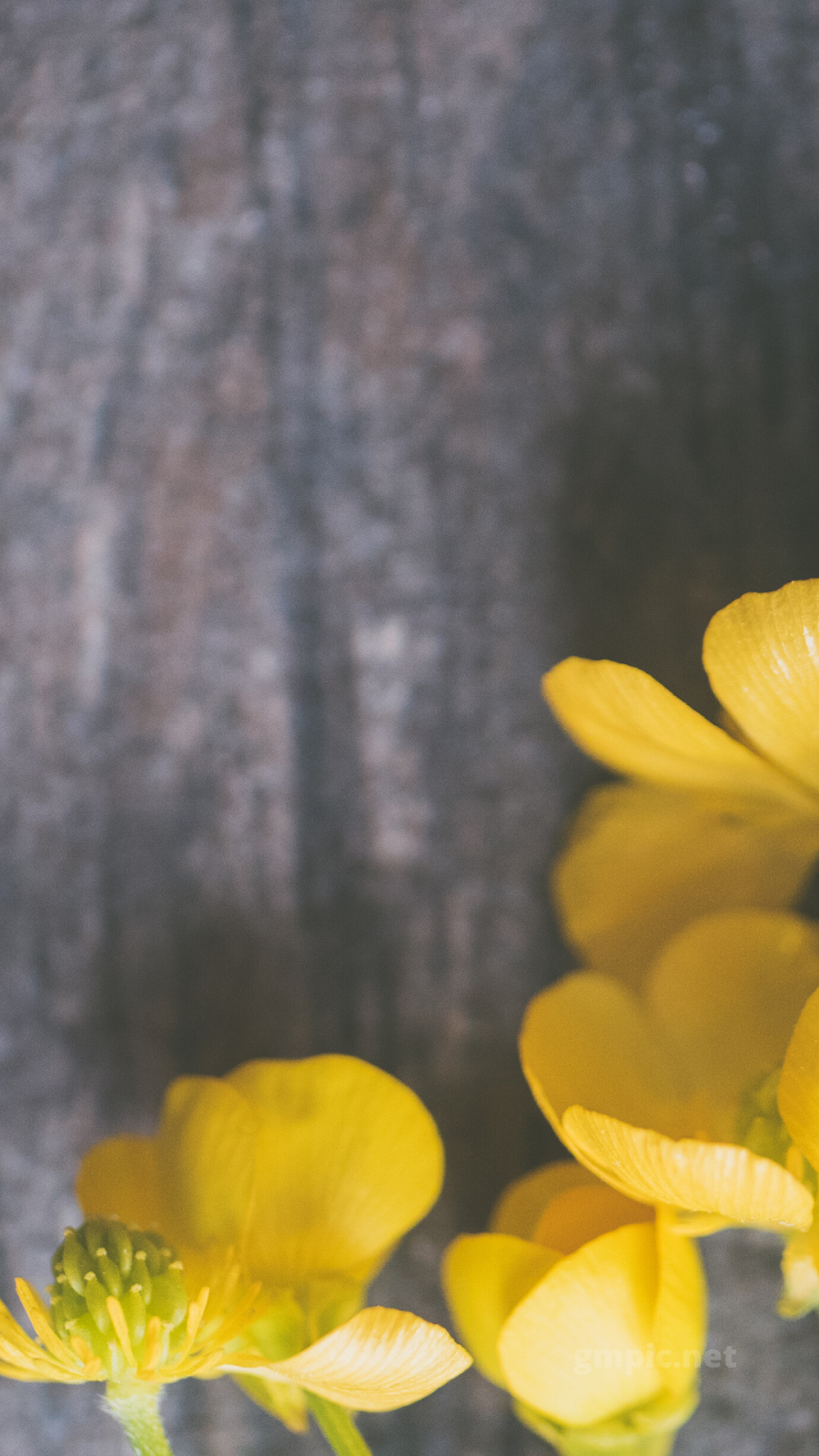 [50+] Spring Wallpaper, Spring iPhone Wallpaper Download #4