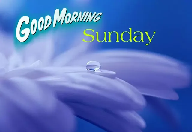 Good morning happy sunday photos