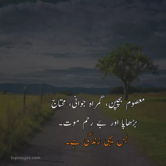 best urdu quotes on life