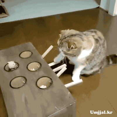 Umjjal_kr_071.gif