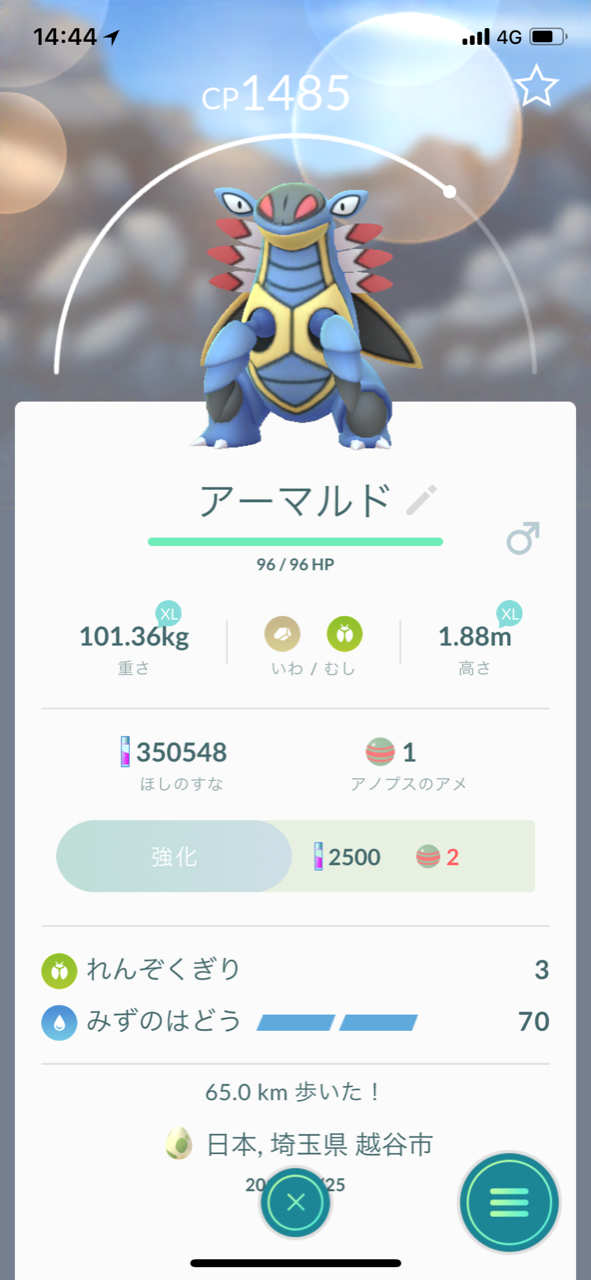 メシアブログ ポケモンgo アーマルド