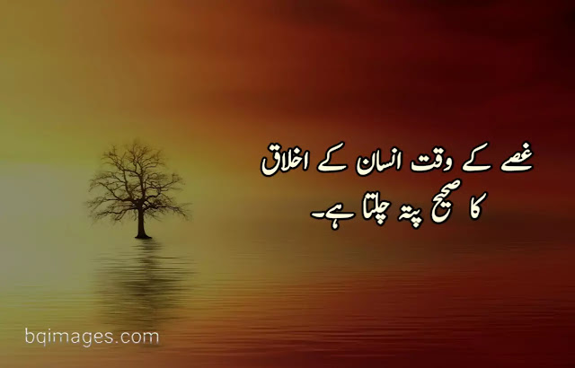 Insan ki fitrat quotes in Urdu