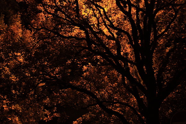 fall halloween scary wallpapers desktop inside dazzling stillness moment deviantart linkedin google awful