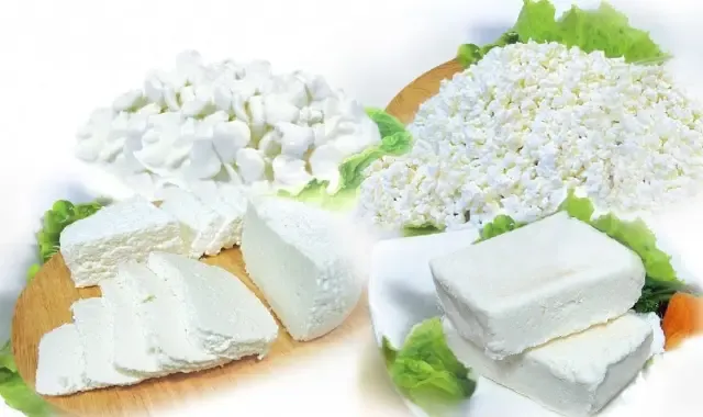 كيف يؤثر الجبن القريش على ارتفاع الكوليسترول