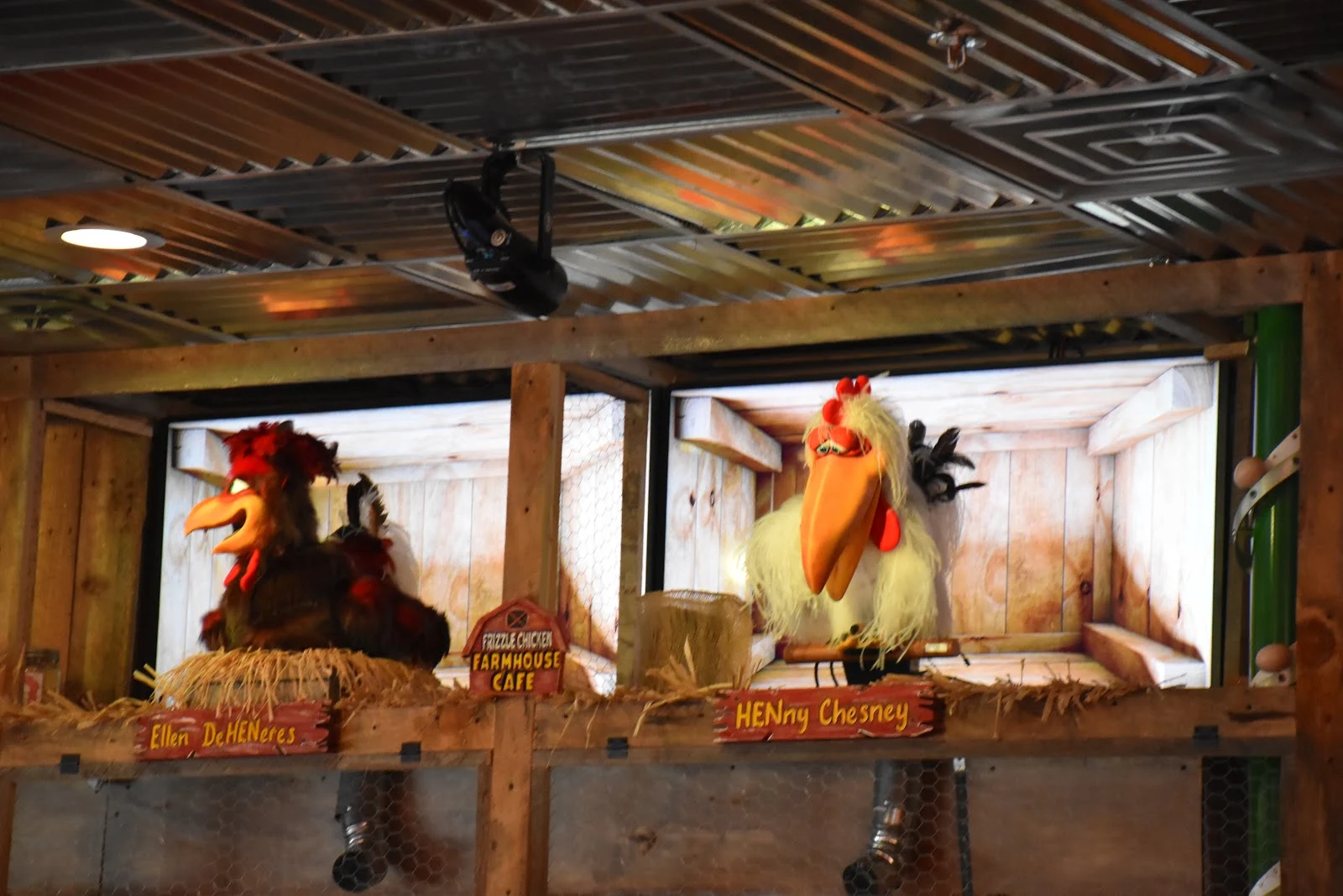 Video Pigeon Best and Most FamilyFriendly Restaurant Frizzle