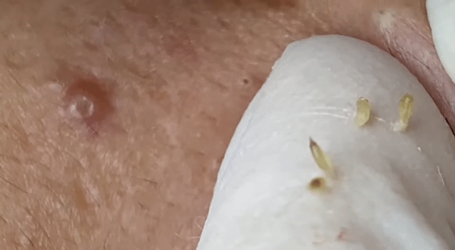 7ea3dd00478d218289e1519e60be41807a04df3e