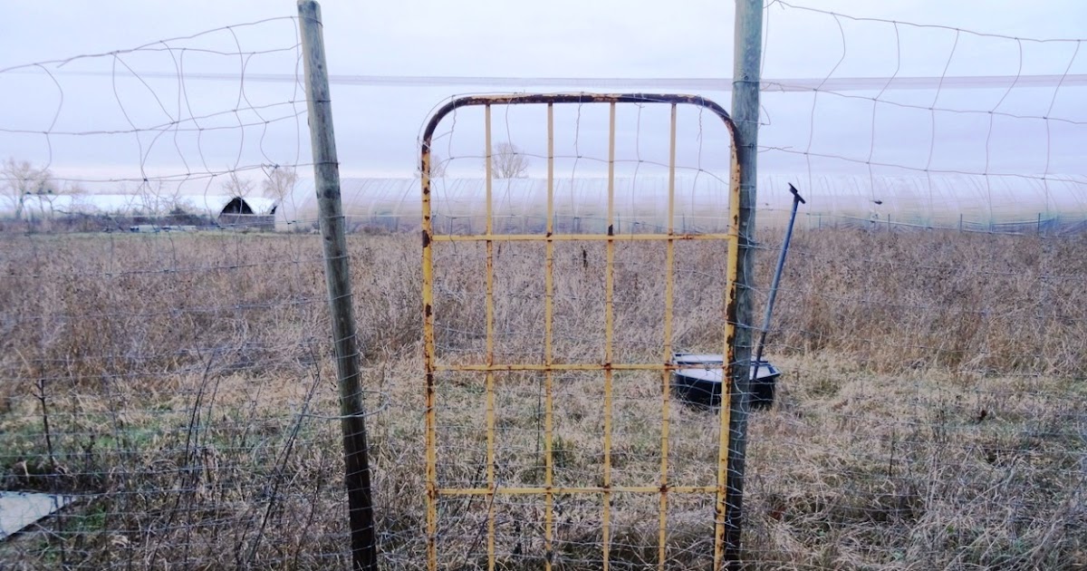 schonkost für den hund und ein paar inseln