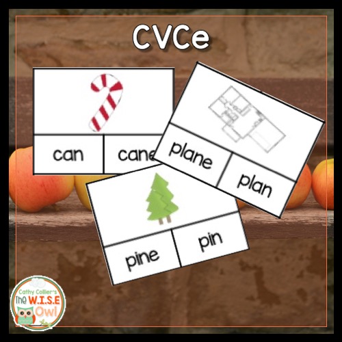 PALS Spelling Interventions A Small Group Plan for Success The W.I.S
