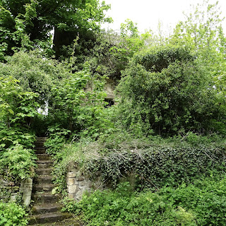 Stairs leading up to Tranent Doocot, which is almost hidden in the deep green of trees and undergrowth.  Photograph by Kevin Nosferatu for The Skulferatu Project.
