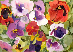 pansy painting watercolor pandemonium pansies watercolour paintings artists kay smith easy 11x15 changed started mind having rose then february watercolors