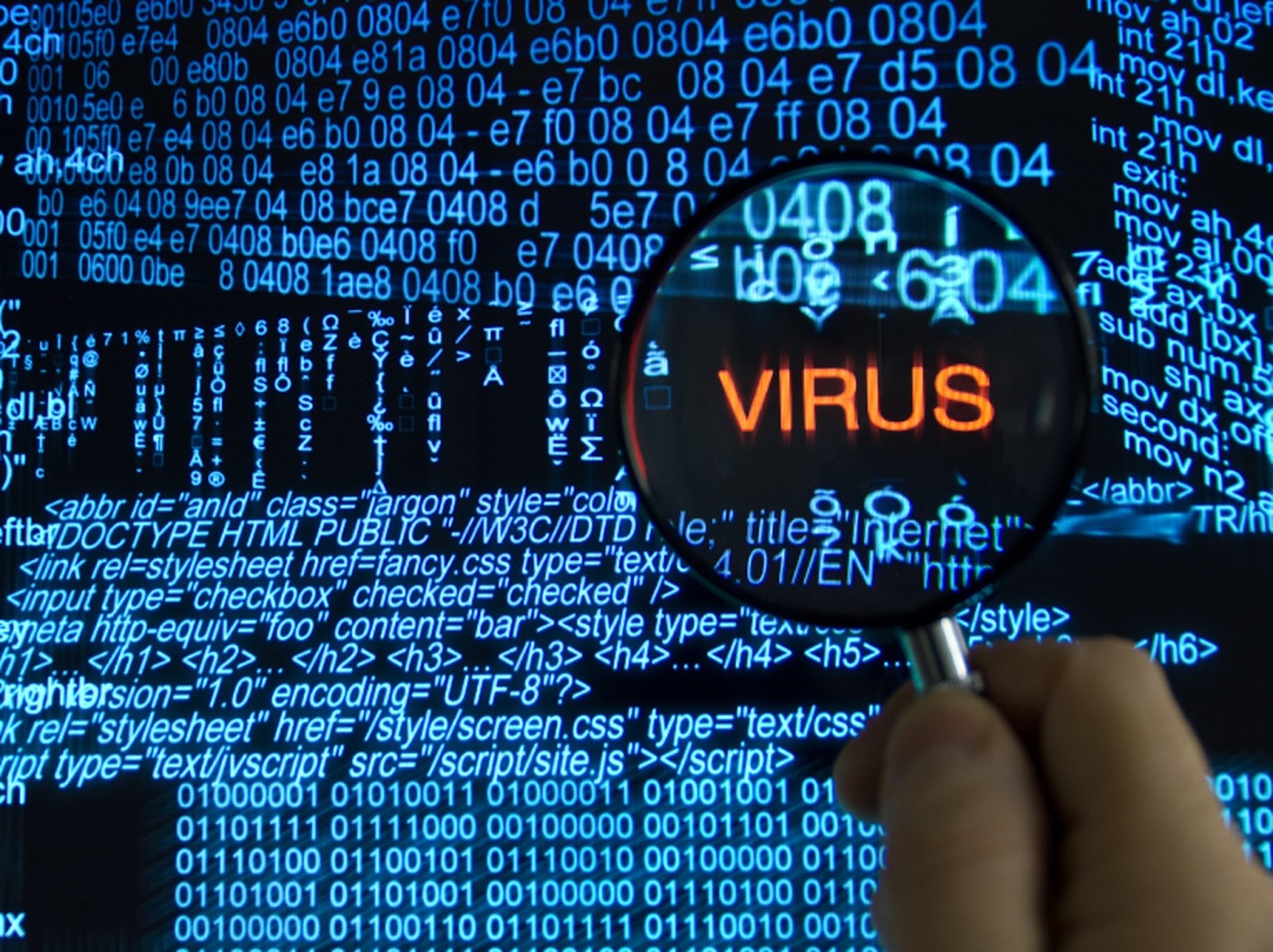 What are the types of Malware?