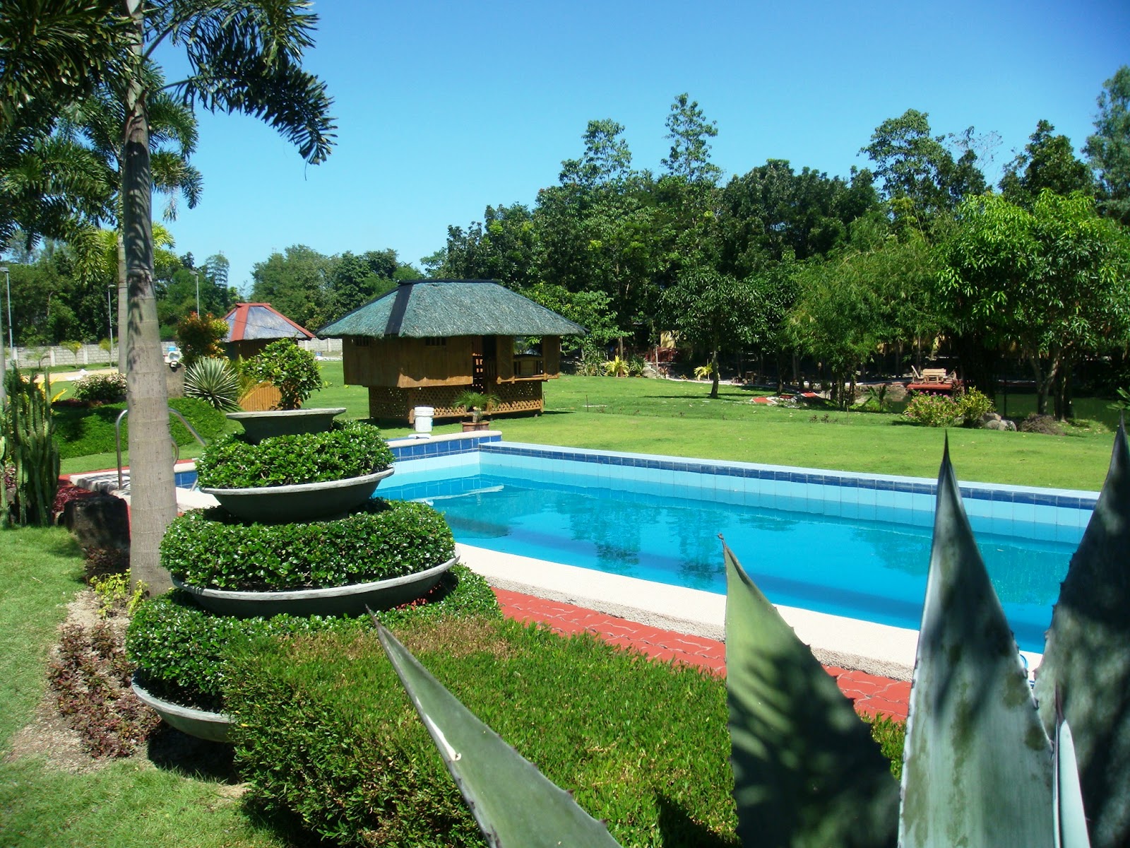 Our story in the Philippines: Pics of our beautiful pools in the