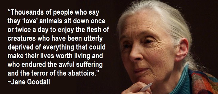 Jane Goodall Quotes. QuotesGram