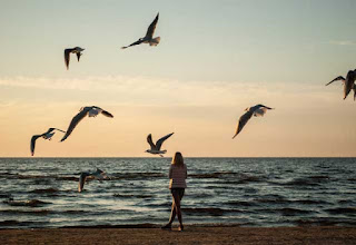 seabeach seabeach