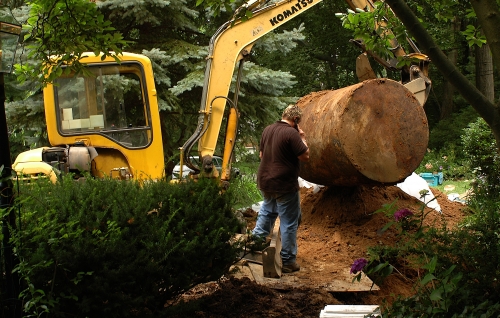 tree-removal-in-van-nuys
