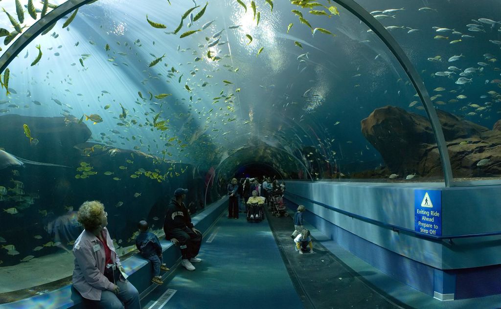 Aquarium in Atlanta, World's Largest (with Map & Photos)