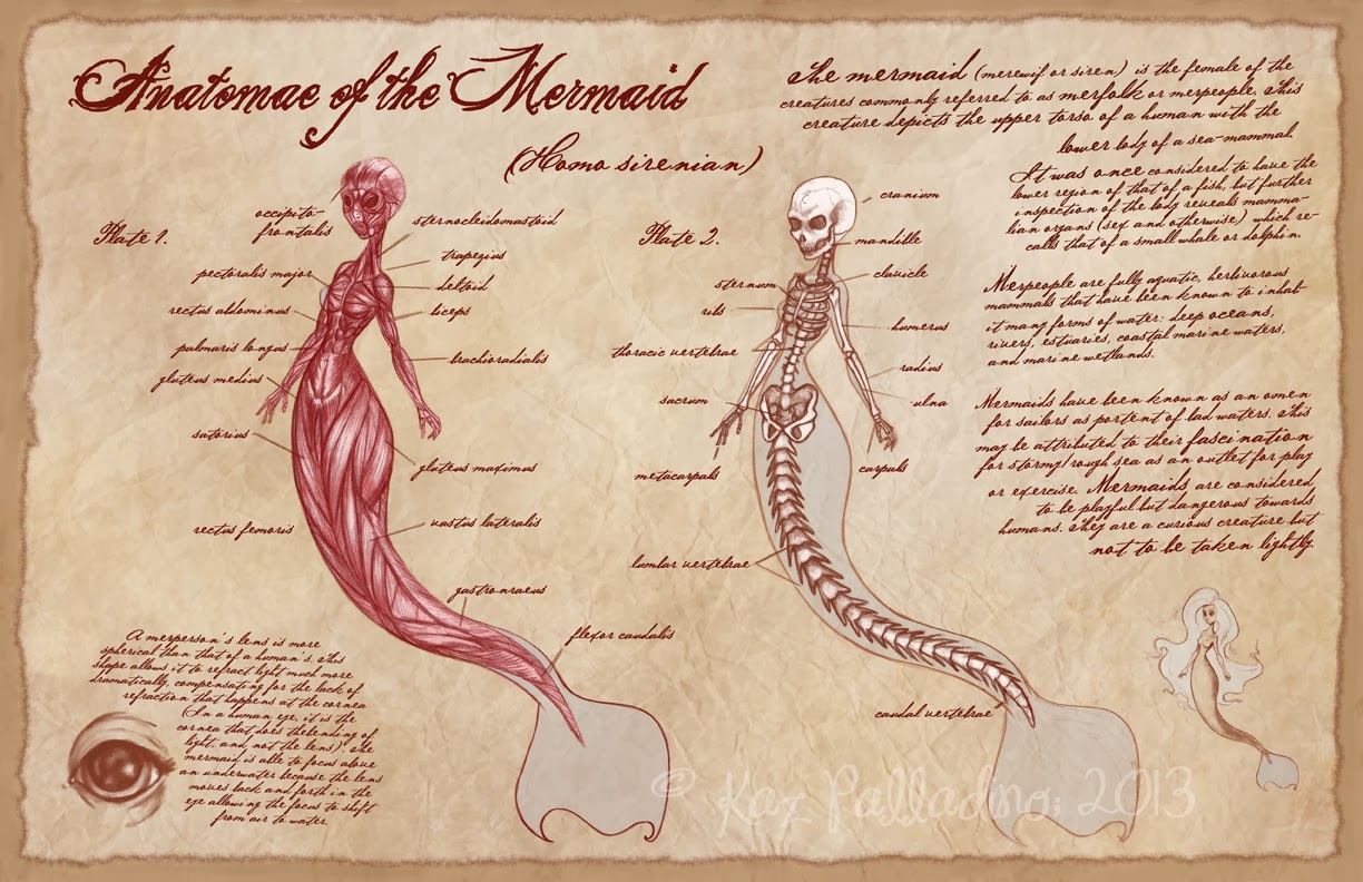 Pin de Mayra Rivas de Lara en Ilustration | Lienzo de sirena, Seres