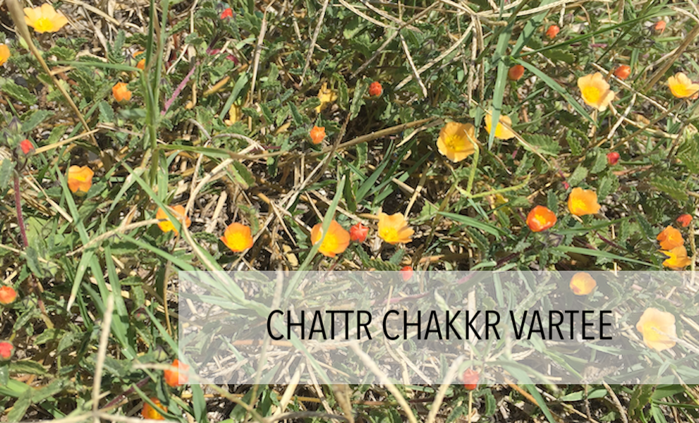 Mantra chattr chakkr meaning vartee Montclair Kundalini