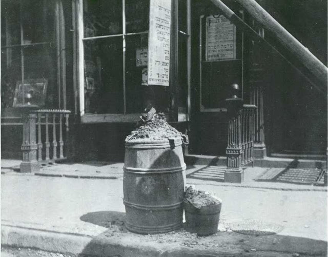 The ashcan, or ash barrel, was a poor source of food for the Hell's Kitchen cats. Photo, Jacob Riis, 1888. 
