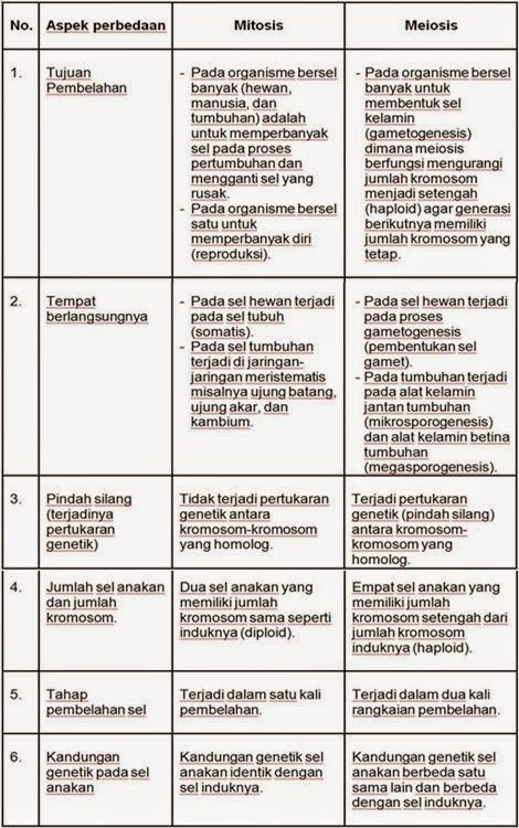Belajar Biologi Reproduksi Sel