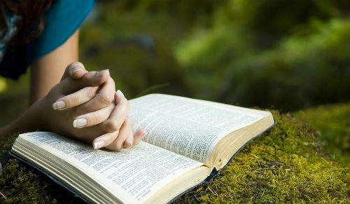 Mujer Cristiana Leer La Biblia En Un Año De Forma Cronológica
