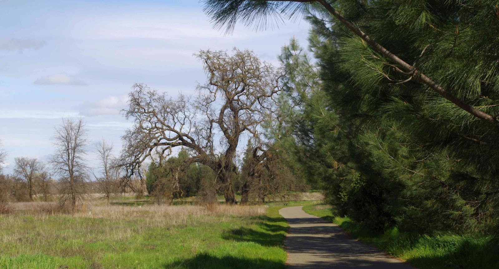 usbackroads™ Red Bluff Recreation Area, Mendocino National Forest, Red