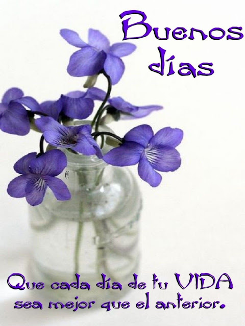 Buenos días con flores azules violetas en frasco de cristal