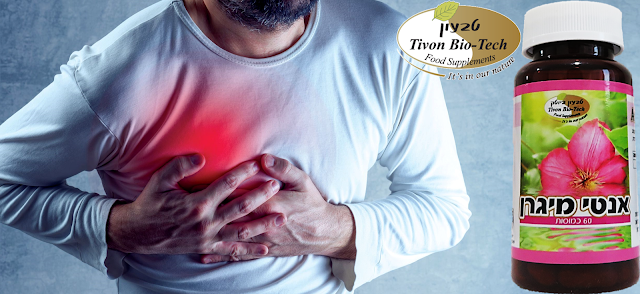 אני מיגרנה כמוסות קפליות אתר ויטמין