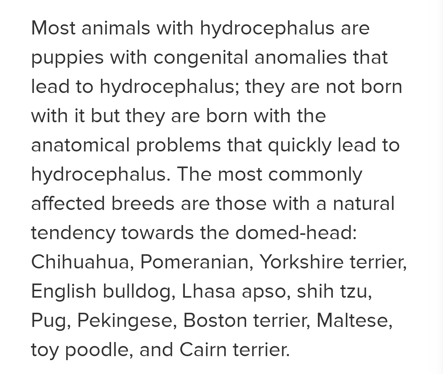 Cherry Human Lives Are Not More Important Than Animal Lives