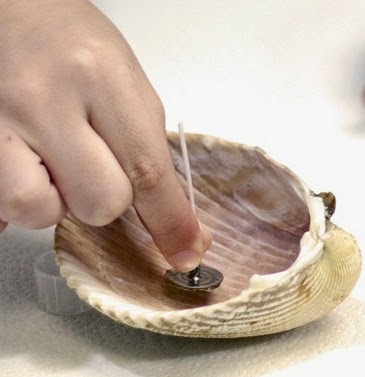 KERIA SE KOXYLIA SEASHELL CANDLES