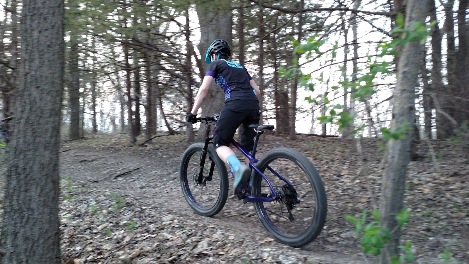 pedestal bike