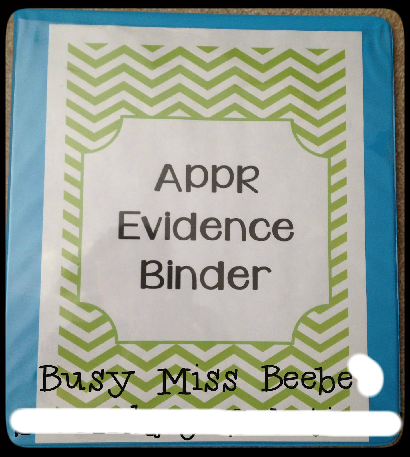 Busy Miss Beebe APPR Evidence Binder