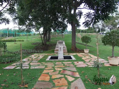 Execução do caminho no jardim com pedra Goiás tipo cacão com juntas de grama e da escada de pedra Goiás serrada com execução do paisagismo com o gramado de grama esmeralda em sítio em Piracaia-SP.