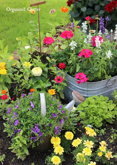 Galvanized Laundry Tub Planter Ideas #containergarden #annuals #junkgarden #gardenjunk