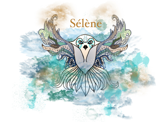 https://www.agenceselene.fr/