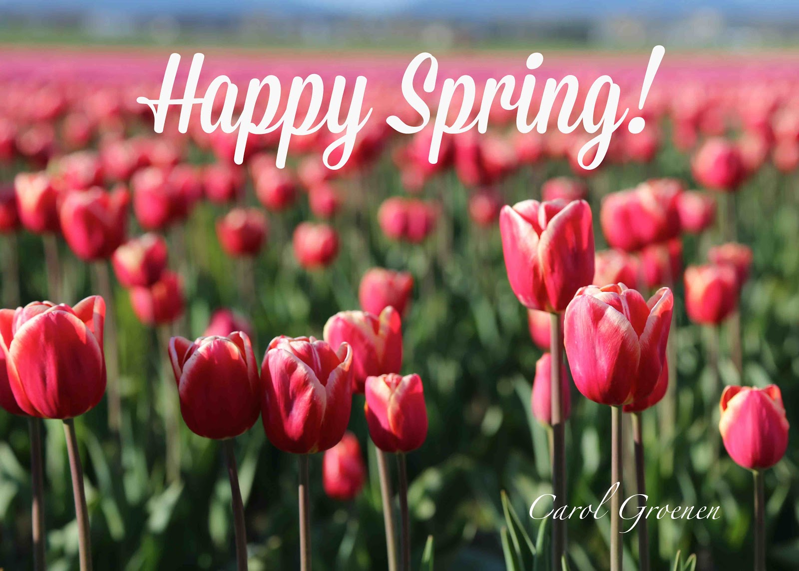 Down the Garden Path: March 2016