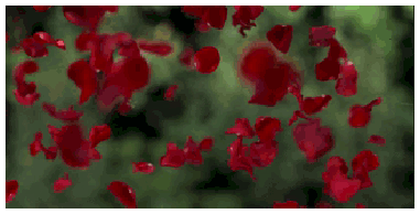 bda%2B%253D%2B25191747MIfS1BBX.gif