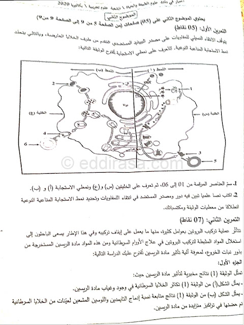 موضوع بكالوريا 2020 في العلوم الطبيعية شعبة علوم تجريبية