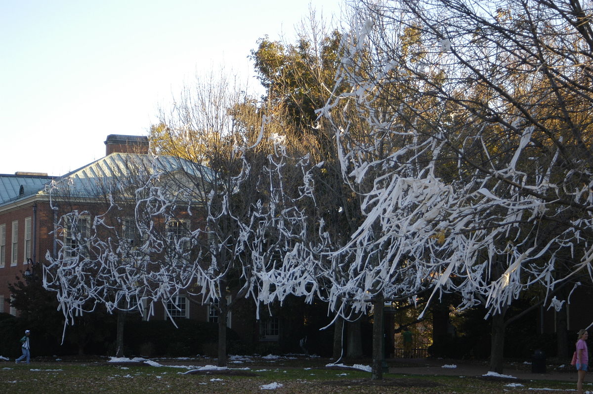 Petrichor & Pumpkins Cabbage Night
