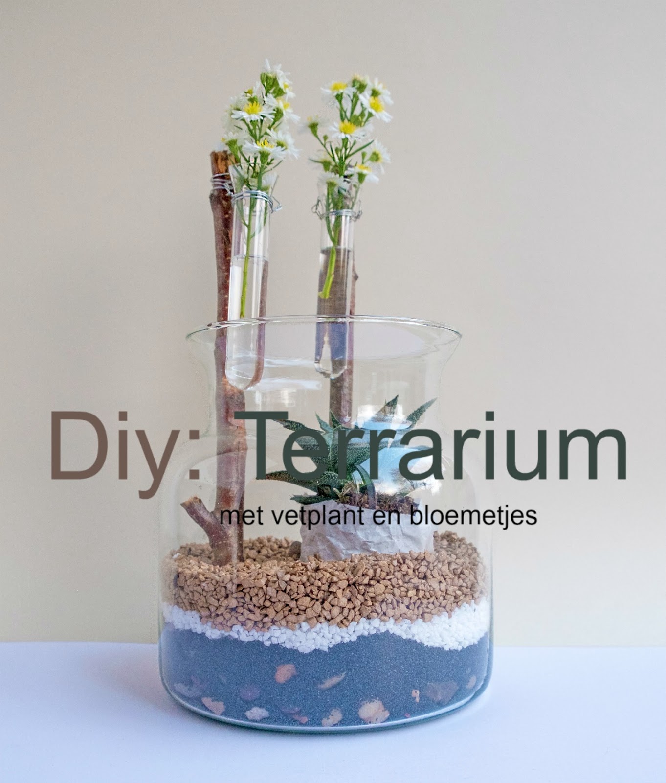 Diy: Terrarium met vetplant en bloemetjes