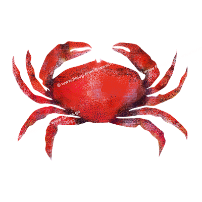 crab drawing, crab high quality image, crab illustration, crab eps file, crab svg file, crab drawing for printing, 3d illustration, red crab logo