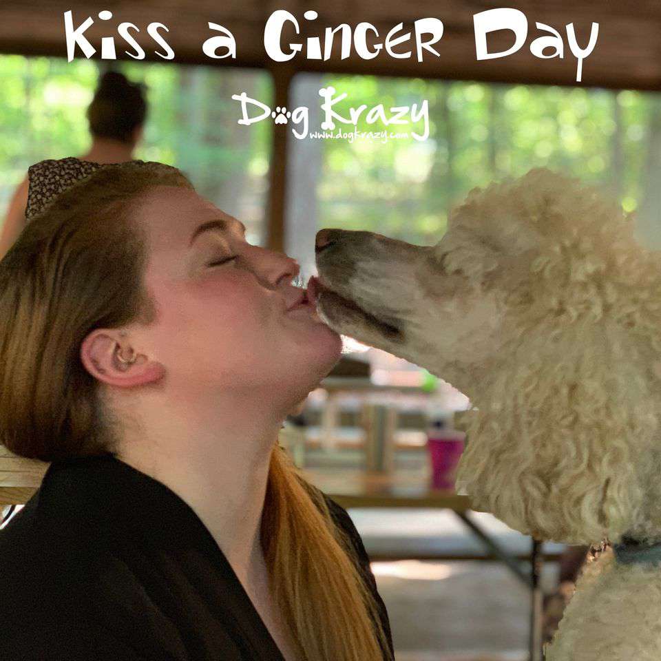 Kiss a Ginger Day Wishes Photos