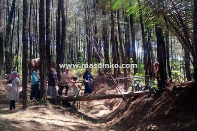 cari Wisata Hutan Pinus Haurgeulis Majalengka