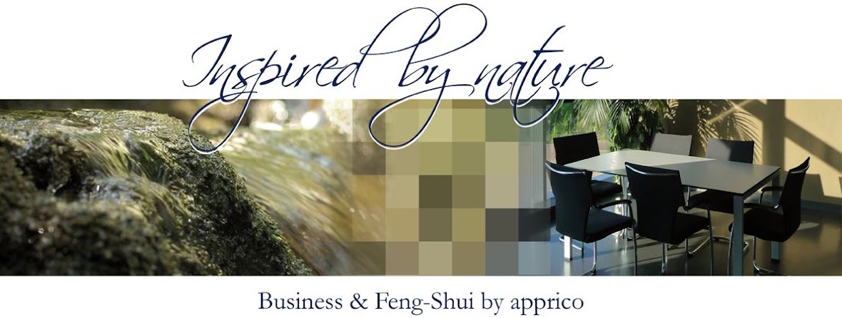Business & Feng Shui by apprico