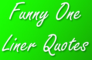 Funny One Liner Quotes  QuoteGanga
