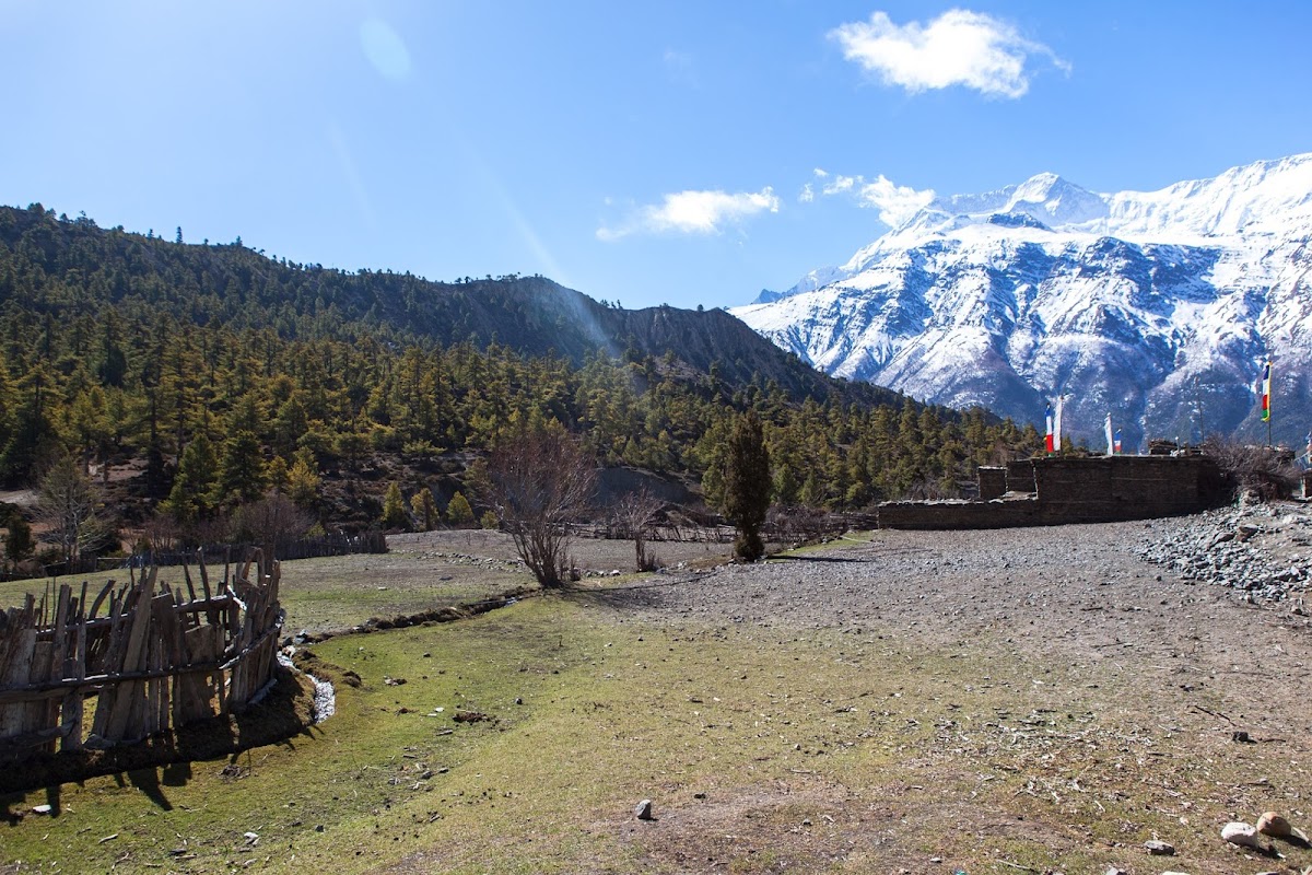 200км по красно-белым черточкам.. Around Annapurna. март-апрель 2017